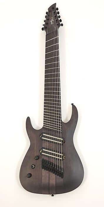 Electric 10-String Guitars