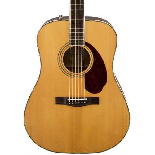 Fender PM-1 Standard Dreadnought