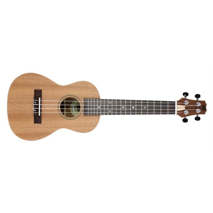 Where to Buy Peavey Acoustic Guitars