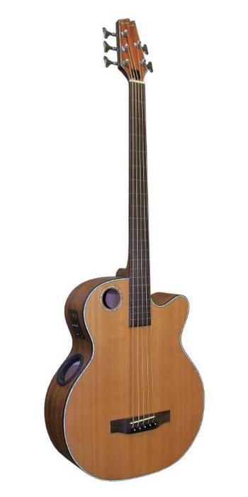 Acoustic-Electric Bass Models