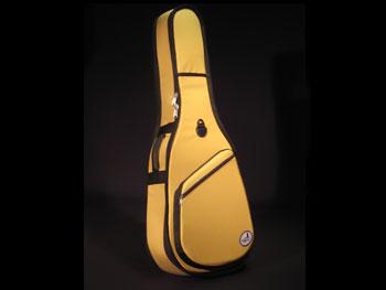 Acoustic Guitar Cases