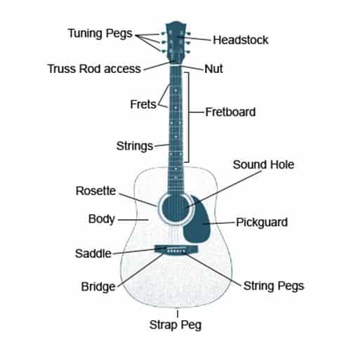 Bridge and Neck Design