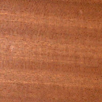 Sapele in Acoustic Guitar Construction