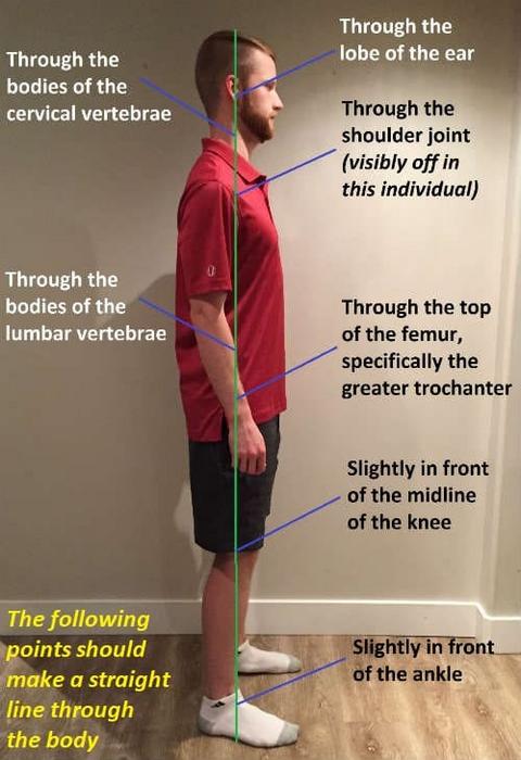 The Importance of Proper Posture