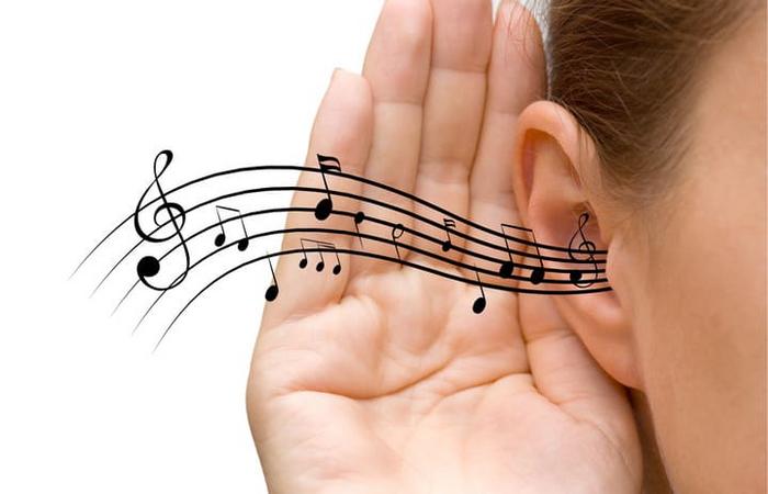 Why is Ear Training Important for Guitarists?