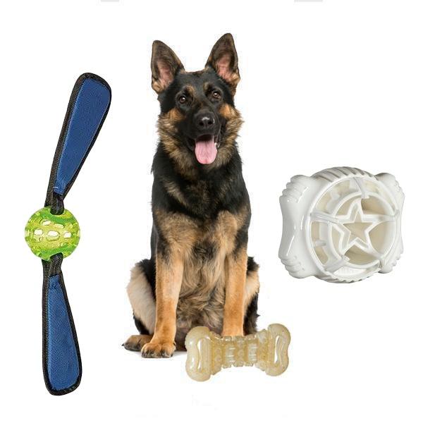 Benefits of Interactive Toys for Dogs