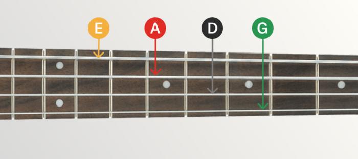 What Are Bass Guitar Strings?