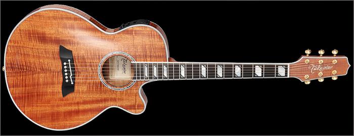 What is a Thinline Acoustic Guitar?