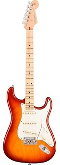Fender American Professional Stratocaster -2