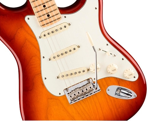 Fender American Professional Stratocaster -5