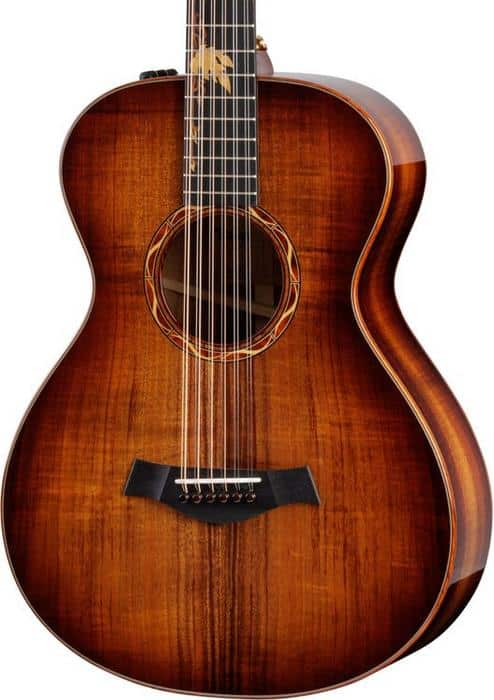 Buying Guide: Taylor 12-String Guitars