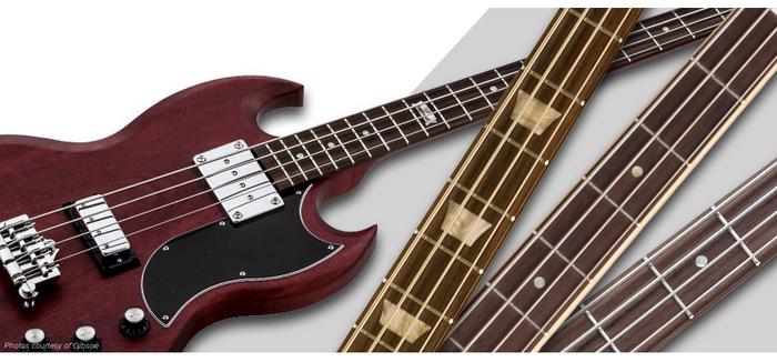 Factors to Consider When Buying a 5-String Acoustic Bass Guitar