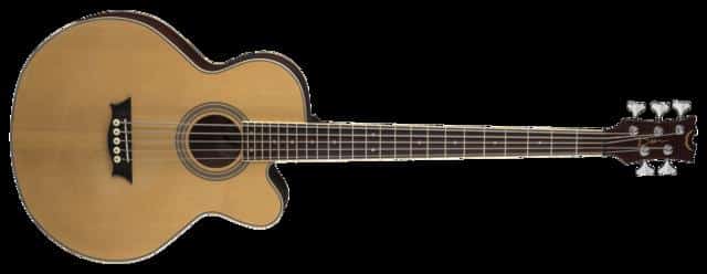 Where to Buy 5-String Acoustic Bass Guitars