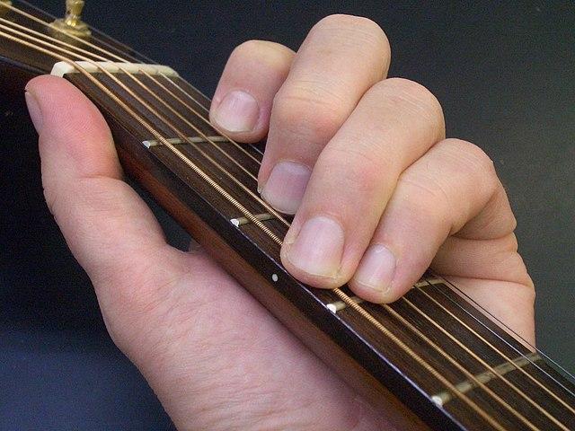 Importance and Role of Frets