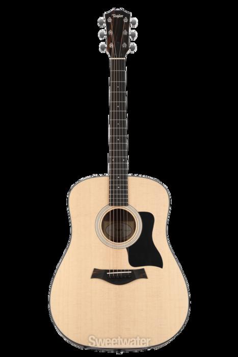 Is Taylor 110e suitable for professional musicians?