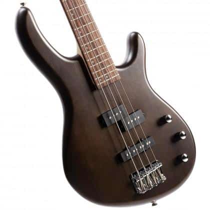 Overview of Cort Bass Models