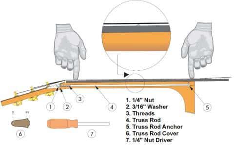 Effects of Back Bow