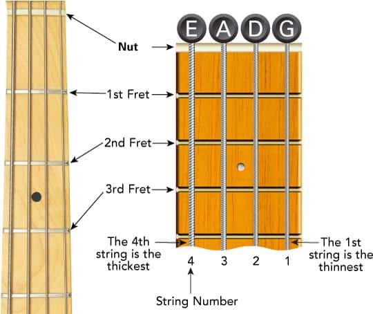 Frets and their role