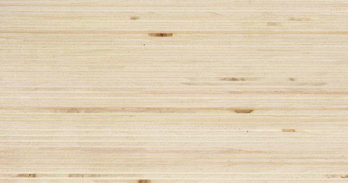 Poplar Wood Characteristics
