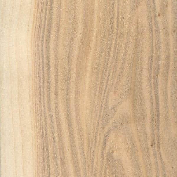 Pros and Cons of Poplar Guitar Bodies
