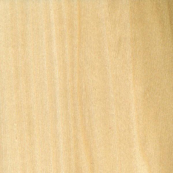 Why Use Poplar for Guitar Bodies