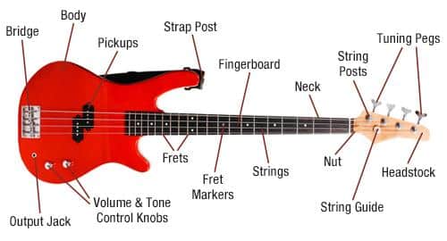 Drawing the Neck and Headstock