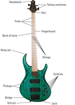 Basic Components of a Bass Guitar