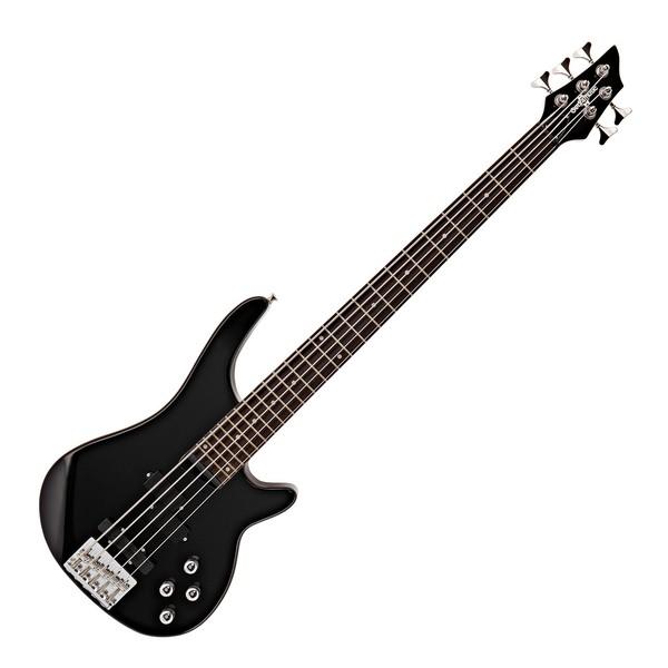 5 String Bass Guitar