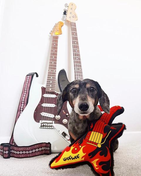 Guitar-Shaped Dog Toy Options