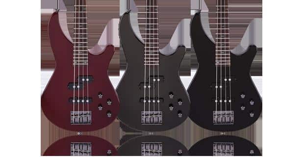 Overview of Mitchell Bass Models