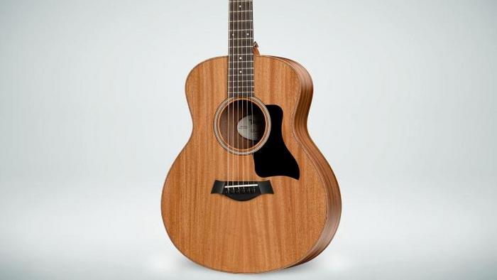 Taylor GS Mini