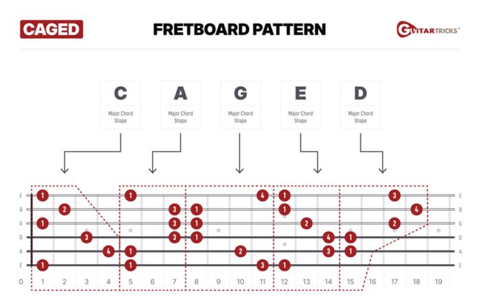 Understanding the CAGED System