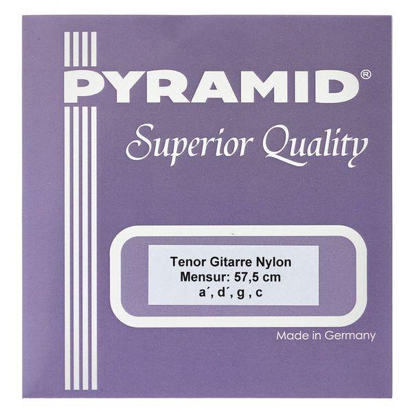 What Are Tenor Guitar Strings?