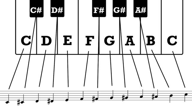 What is the Chromatic Scale?