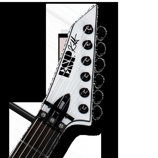 Where to Buy Guitar Headstock Decals?