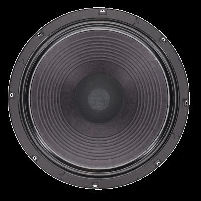 Who Should Use 12-Inch Guitar Speakers?