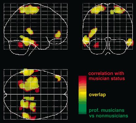 Entry-Level vs. Professional Musicians