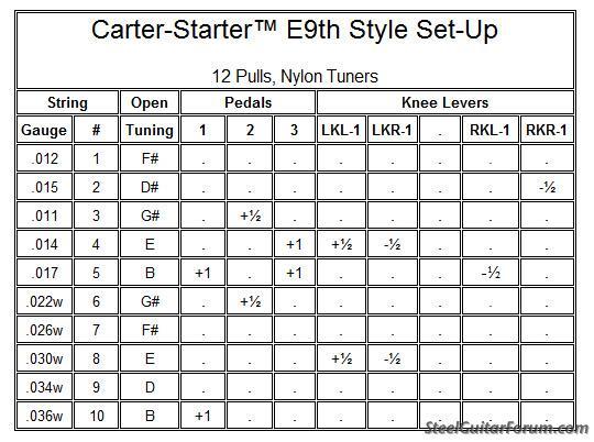 How to Set Up and Maintain the Carter Starter?