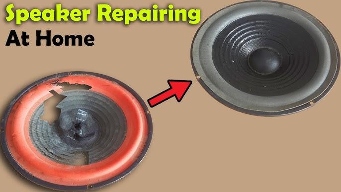 Who Needs to Repair a Speaker Cone?