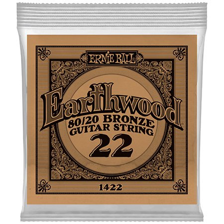 Ernie Ball 1422 Earthwood 80/20 bronze guitar strings, representing materials and coatings relevant for comfort and tone in beginner-friendly electric guitar strings.