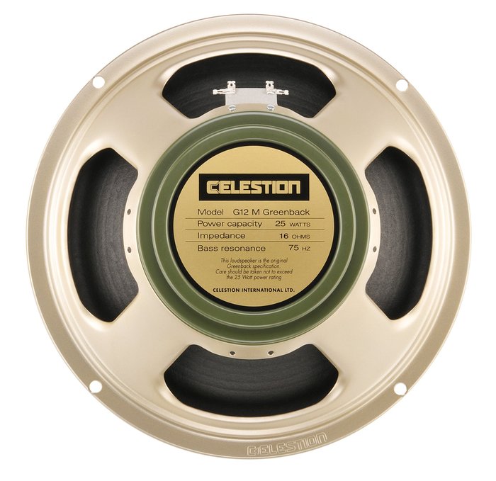 Amazon.com: CELESTION Guitar Speaker, 12" (T1221) : Musical Instruments