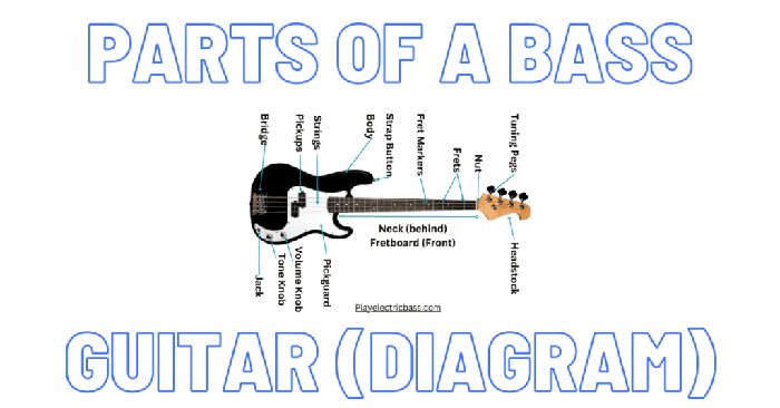 What Are The Parts of A Bass Guitar? (16-Part Diagram and Anatomy ...
