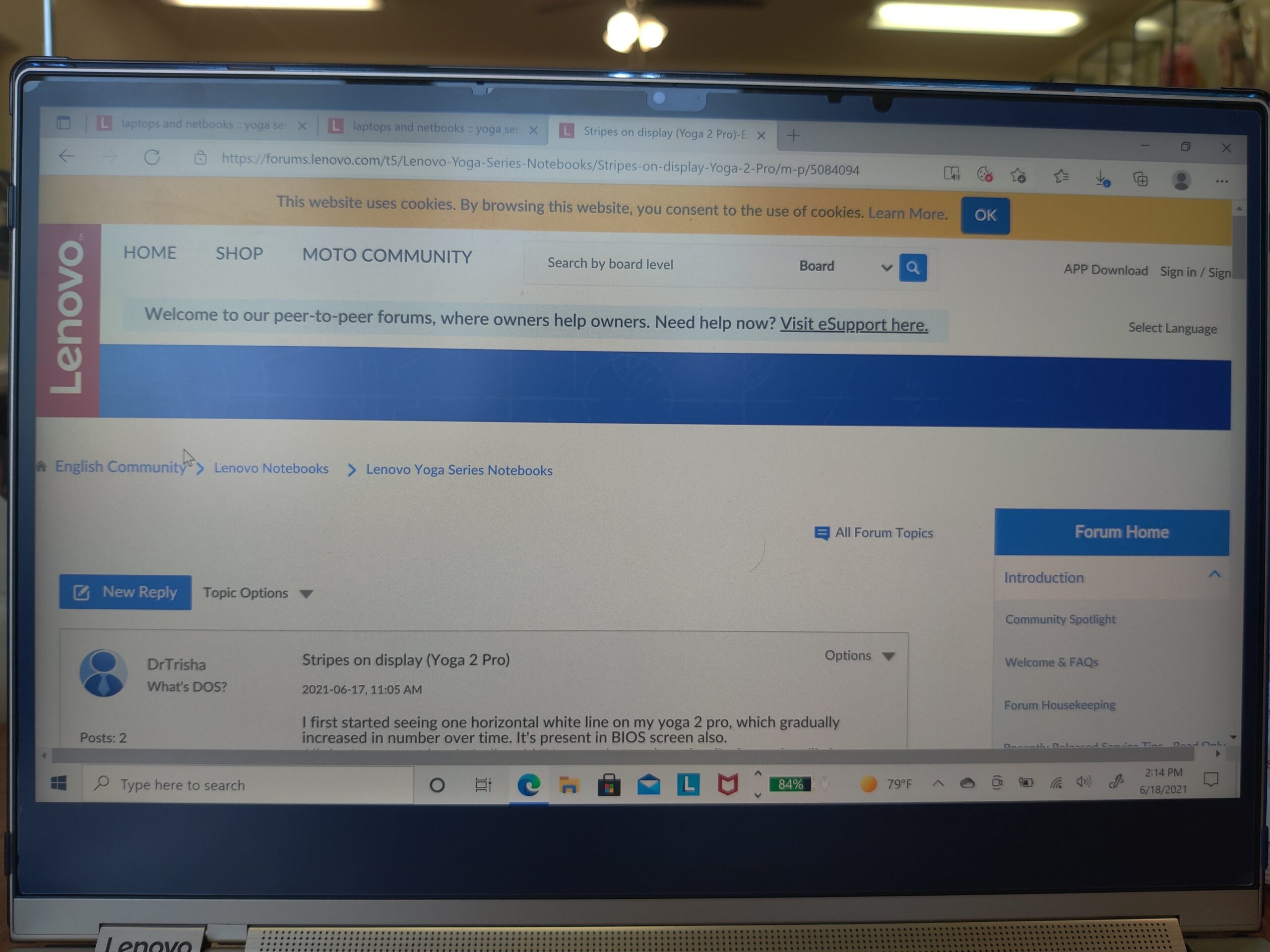 Display-issue-Black-Bar-on-Bottom-of-Screen - English Community (forum screenshot representing a community forum thread)