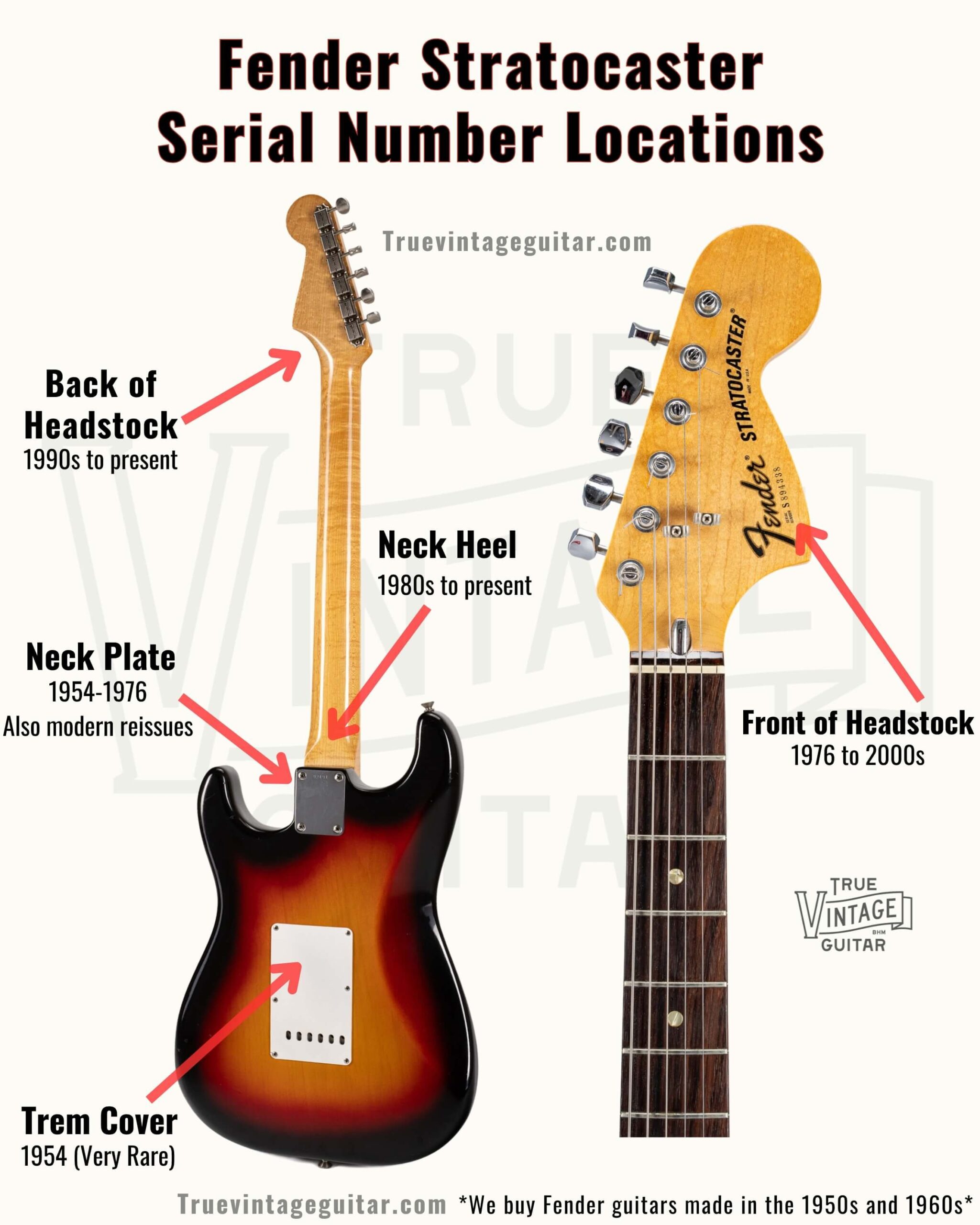 Photo showing where to find the Fender Stratocaster serial number on the instrument (headstock) — useful for identifying owners, sellers, and buyers via serial-number lookup.