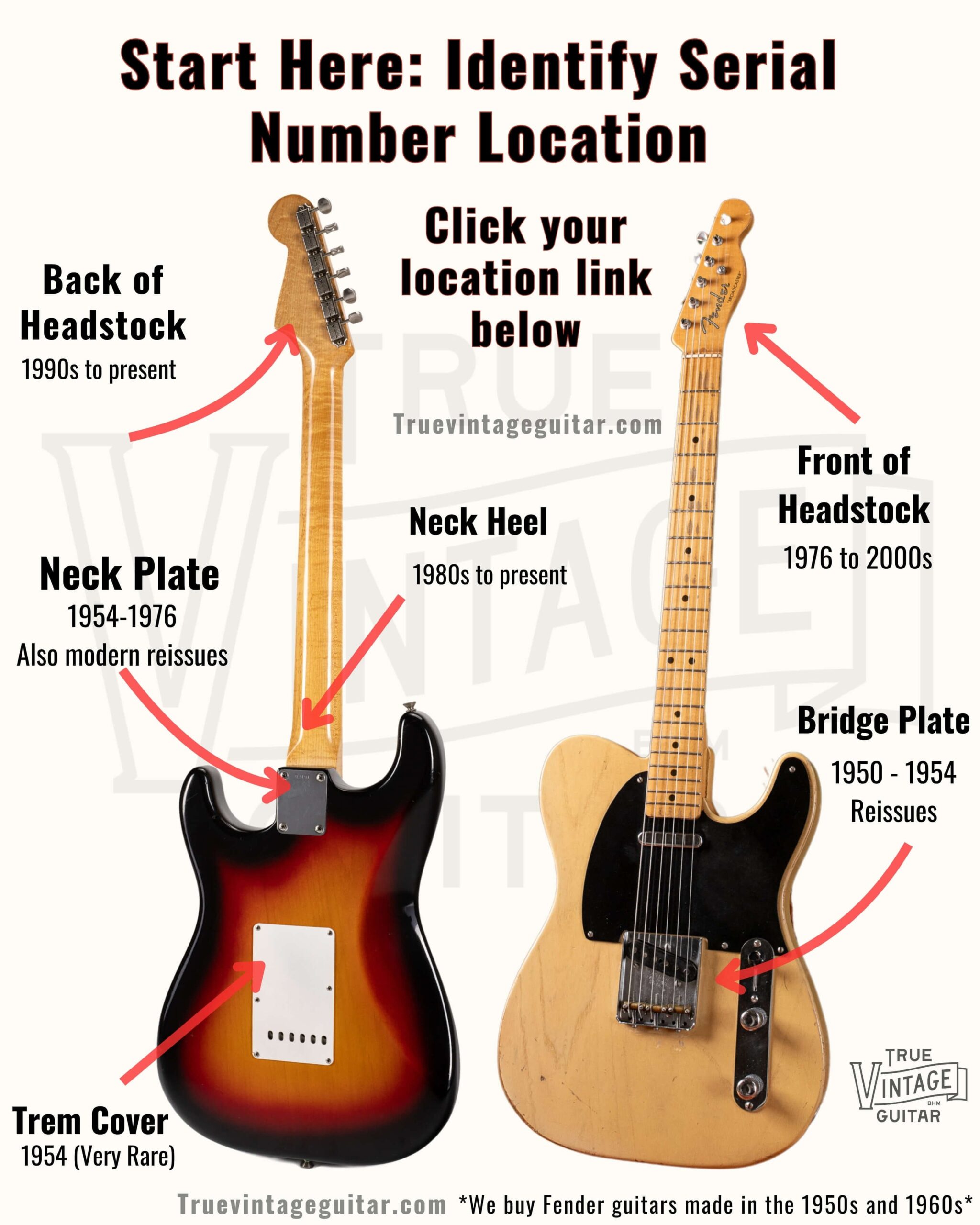 Fender guitar serial number locations diagram showing where to find serial numbers on headstock, neck plate, back of body and other common spots on guitars and accessories.